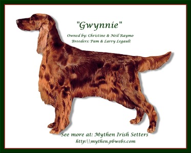 Miss Gwynnie